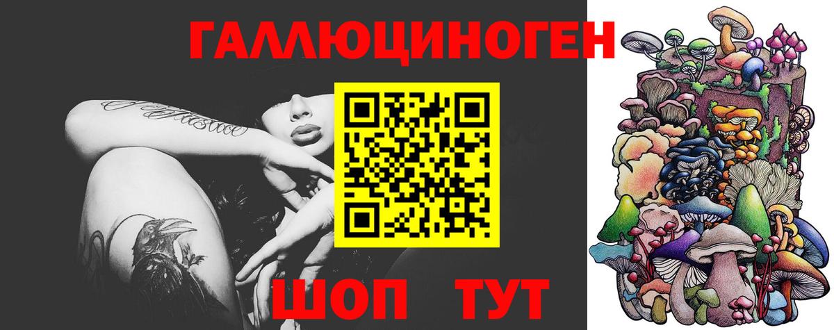 Галлюциногенные грибы Psilocybine cubensis Стерлитамак
